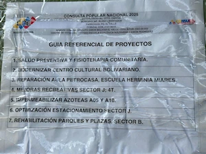 Venezolanos participan en la Consulta Popular Nacional 2025