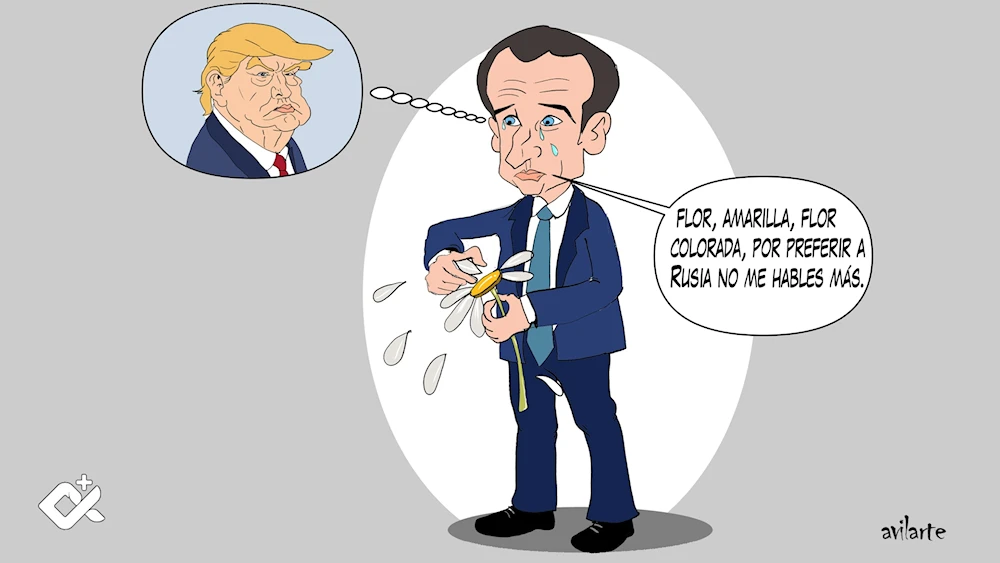 Despecho