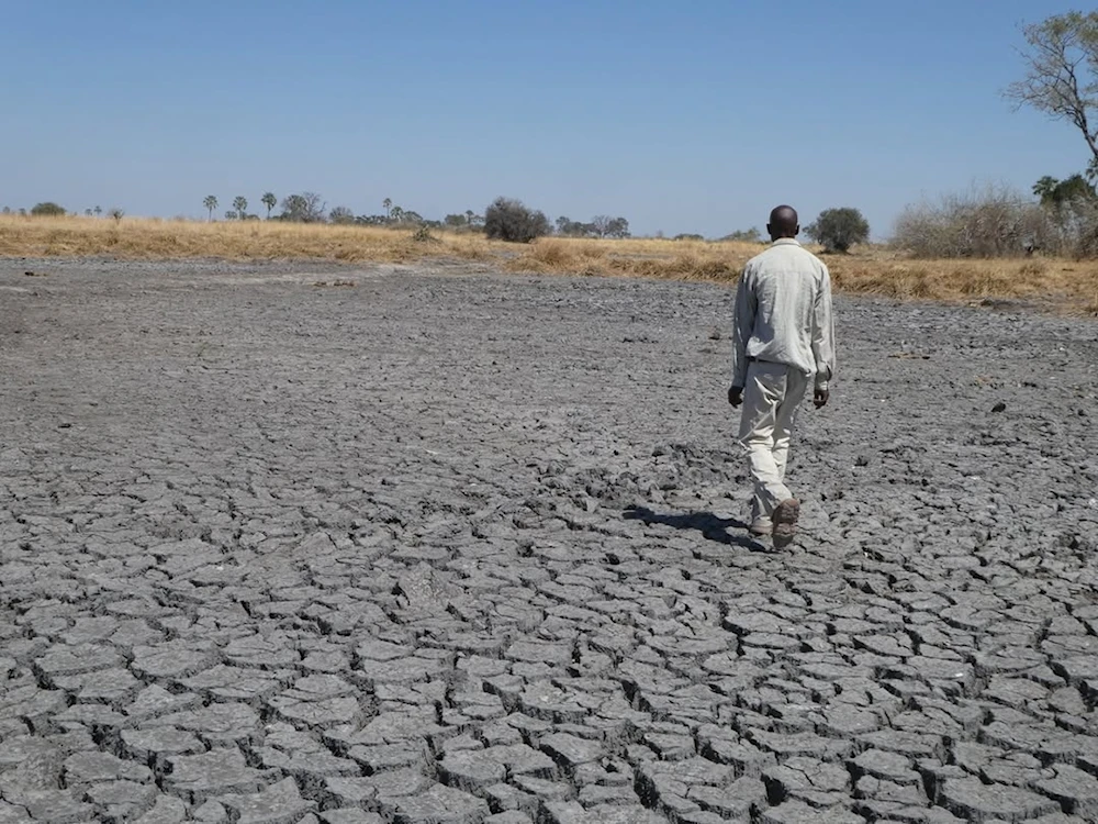 El delta del Okavango, un ecosistema único en la encrucijada del cambio climático