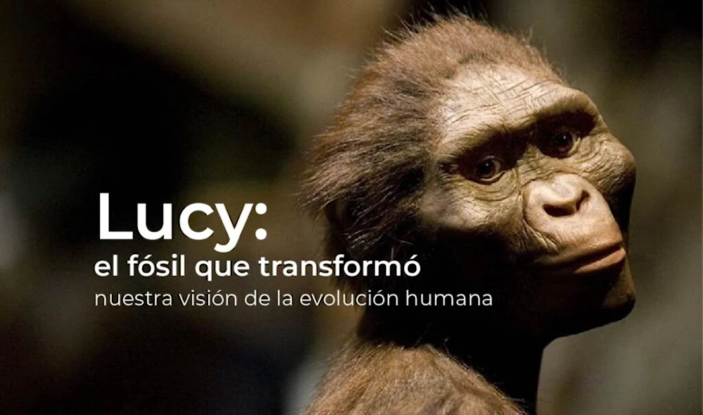 Chequia exhibirá restos de Lucy, el homínido más completo descubierto