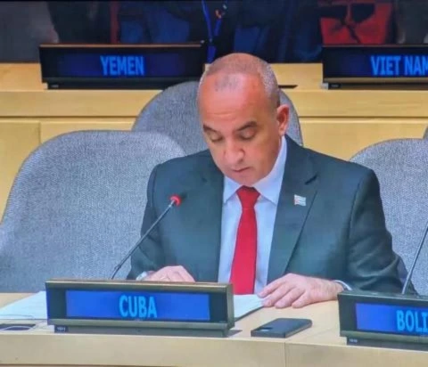 Cuba elegida como vicepresidenta del Comité de Palestina