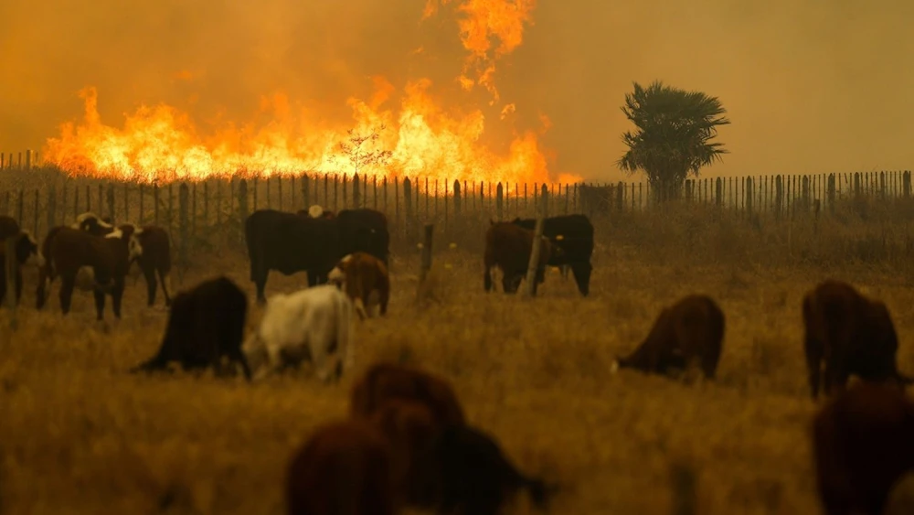 Paraguay ha registrado 400 incendios en un año