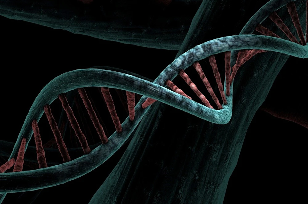 ¿Son los genes determinantes de nuestra salud y rasgos físicos?