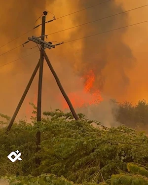 Incendios forestales en la Patagonia argentina: más de 28.100 hectáreas arrasadas, evacuaciones masivas y parques nacionales en peligro