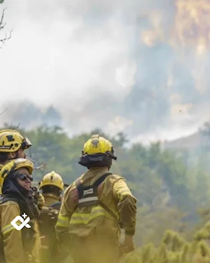 Incendios forestales en la Patagonia argentina: más de 28.100 hectáreas arrasadas, evacuaciones masivas y parques nacionales en peligro