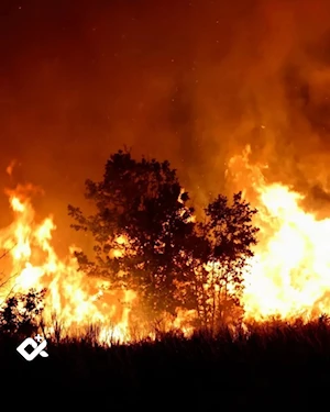 Incendios forestales en la Patagonia argentina: más de 28.100 hectáreas arrasadas, evacuaciones masivas y parques nacionales en peligro