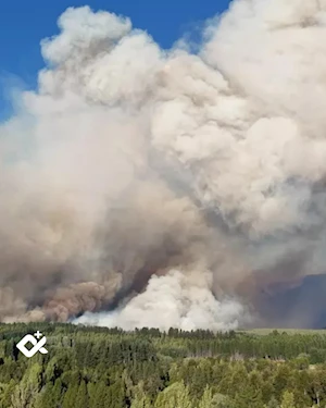 Incendios forestales en la Patagonia argentina: más de 28.100 hectáreas arrasadas, evacuaciones masivas y parques nacionales en peligro