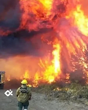 Incendios forestales en la Patagonia argentina: más de 28.100 hectáreas arrasadas, evacuaciones masivas y parques nacionales en peligro