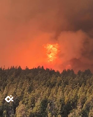 Incendios forestales en la Patagonia argentina: más de 28.100 hectáreas arrasadas, evacuaciones masivas y parques nacionales en peligro