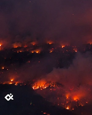 Incendios forestales en la Patagonia argentina: más de 28.100 hectáreas arrasadas, evacuaciones masivas y parques nacionales en peligro