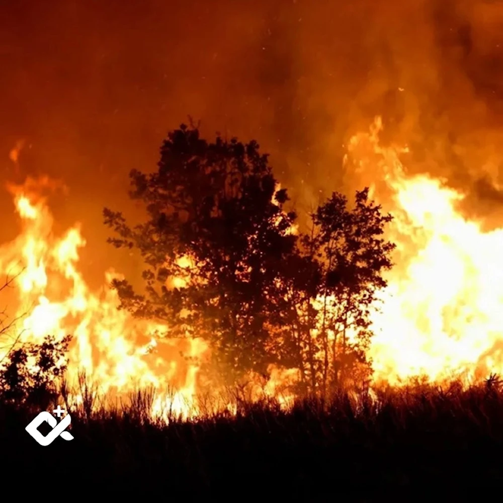 Incendios arrasan más de 36.000 hectáreas en Patagonia argentina