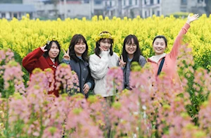 Increíble alfombra natural: miles de turistas visitan los campos floridos en Tongnan en China