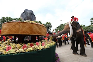 Llamado a su conservación: Como cada 13 de marzo, elefantes celebran su día nacional en Tailandia con un banquete de frutas y otros alimentos