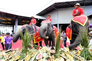 Llamado a su conservación: Como cada 13 de marzo, elefantes celebran su día nacional en Tailandia con un banquete de frutas y otros alimentos