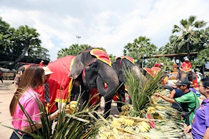 Llamado a su conservación: Como cada 13 de marzo, elefantes celebran su día nacional en Tailandia con un banquete de frutas y otros alimentos