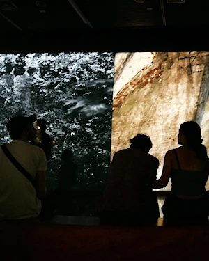 Experiencia sensorial inmersiva: Llegó a Chile la exposición conceptual “Correspondences”, del colectivo Soundwalk y la cantante estadounidense Patti Smith