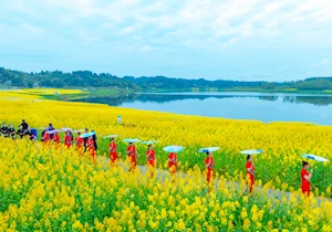 Con la llegada de la primavera en China, las flores dejan escenas naturales impresionantes en todo el territorio