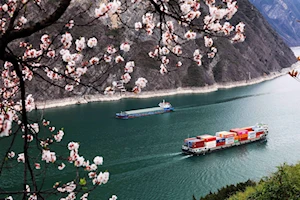 Con la llegada de la primavera en China, las flores dejan escenas naturales impresionantes en todo el territorio