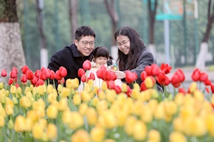 Con la llegada de la primavera en China, las flores dejan escenas naturales impresionantes en todo el territorio