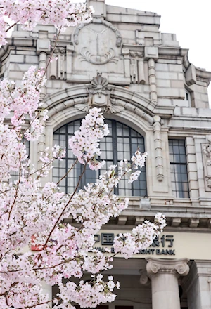 Con la llegada de la primavera en China, las flores dejan escenas naturales impresionantes en todo el territorio