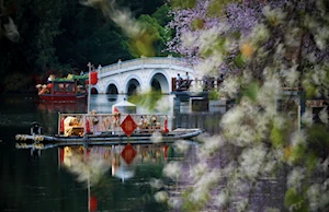 Con la llegada de la primavera en China, las flores dejan escenas naturales impresionantes en todo el territorio