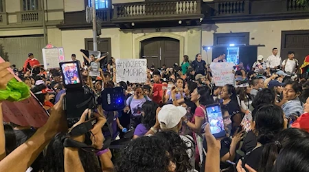 Ciudadanos y artistas marcharon en Lima y otras ciudades exigiendo al gobierno peruano tomar medidas urgentes contra el crimen organizado y la inseguridad