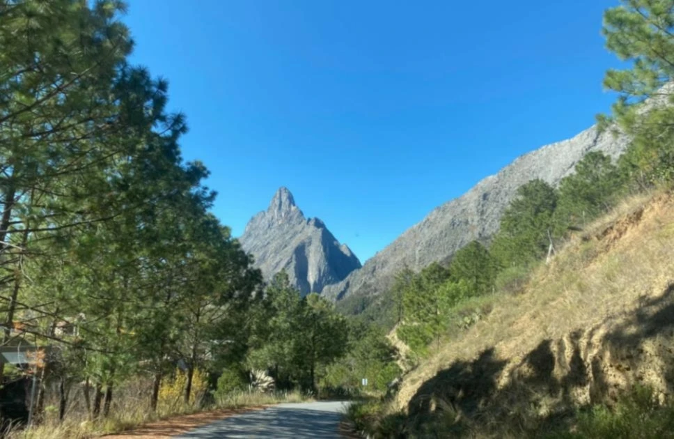 Reportan 12 muertos tras accidente en el norte de México