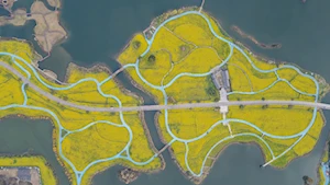 Hermosos paisajes florales anuncian la llegada de la primavera en China
