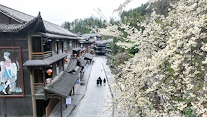 Hermosos paisajes florales anuncian la llegada de la primavera en China