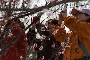 Hermosos paisajes florales anuncian la llegada de la primavera en China