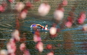 Hermosos paisajes florales anuncian la llegada de la primavera en China