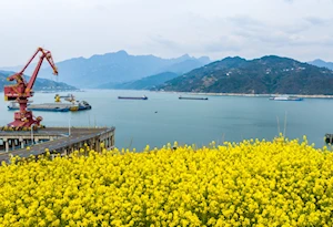 Hermosos paisajes florales anuncian la llegada de la primavera en China