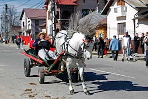 La comunidad búlgara de Targoviste, Rumania, celebra la "Pascua de los Caballos" o "Tudorita": una tradición centenaria con desfiles, panes rituales y agua bendita, que bendice a los equinos y marca el inicio del año agrícola