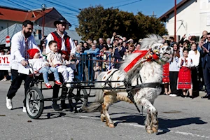 La comunidad búlgara de Targoviste, Rumania, celebra la "Pascua de los Caballos" o "Tudorita": una tradición centenaria con desfiles, panes rituales y agua bendita, que bendice a los equinos y marca el inicio del año agrícola