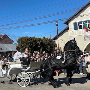 La comunidad búlgara de Targoviste, Rumania, celebra la "Pascua de los Caballos" o "Tudorita": una tradición centenaria con desfiles, panes rituales y agua bendita, que bendice a los equinos y marca el inicio del año agrícola
