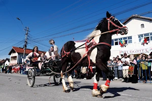 La comunidad búlgara de Targoviste, Rumania, celebra la "Pascua de los Caballos" o "Tudorita": una tradición centenaria con desfiles, panes rituales y agua bendita, que bendice a los equinos y marca el inicio del año agrícola