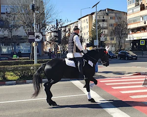 La comunidad búlgara de Targoviste, Rumania, celebra la "Pascua de los Caballos" o "Tudorita": una tradición centenaria con desfiles, panes rituales y agua bendita, que bendice a los equinos y marca el inicio del año agrícola