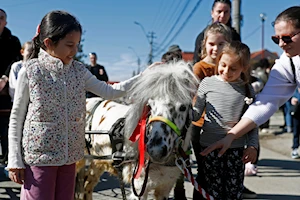 La comunidad búlgara de Targoviste, Rumania, celebra la "Pascua de los Caballos" o "Tudorita": una tradición centenaria con desfiles, panes rituales y agua bendita, que bendice a los equinos y marca el inicio del año agrícola