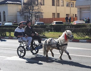La comunidad búlgara de Targoviste, Rumania, celebra la "Pascua de los Caballos" o "Tudorita": una tradición centenaria con desfiles, panes rituales y agua bendita, que bendice a los equinos y marca el inicio del año agrícola
