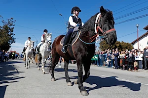 La comunidad búlgara de Targoviste, Rumania, celebra la "Pascua de los Caballos" o "Tudorita": una tradición centenaria con desfiles, panes rituales y agua bendita, que bendice a los equinos y marca el inicio del año agrícola