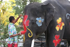 Así se celebran las festividades del Songkran en Ayutthaya: Imágenes del tradicional Año Nuevo tailandés, con la icónica salpicada de agua