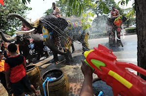 Así se celebran las festividades del Songkran en Ayutthaya: Imágenes del tradicional Año Nuevo tailandés, con la icónica salpicada de agua