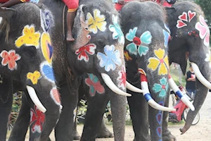 Así se celebran las festividades del Songkran en Ayutthaya: Imágenes del tradicional Año Nuevo tailandés, con la icónica salpicada de agua