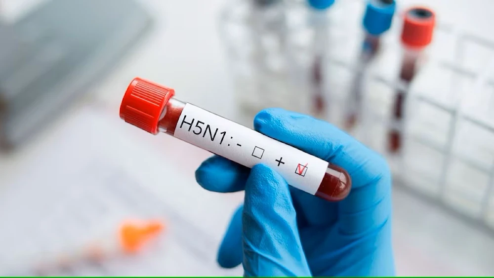 Detectan en México el primer caso humano de influenza aviar H5N1