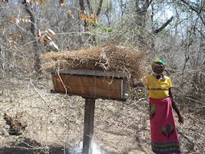 El Día de la Mujer Mozambiqueña, rinde homenaje a la heroína Josina Machel, heroína en la gesta de emancipación y reivindica la lucha por la emancipación, contra el colonialismo portugués y la independencia de los pueblos