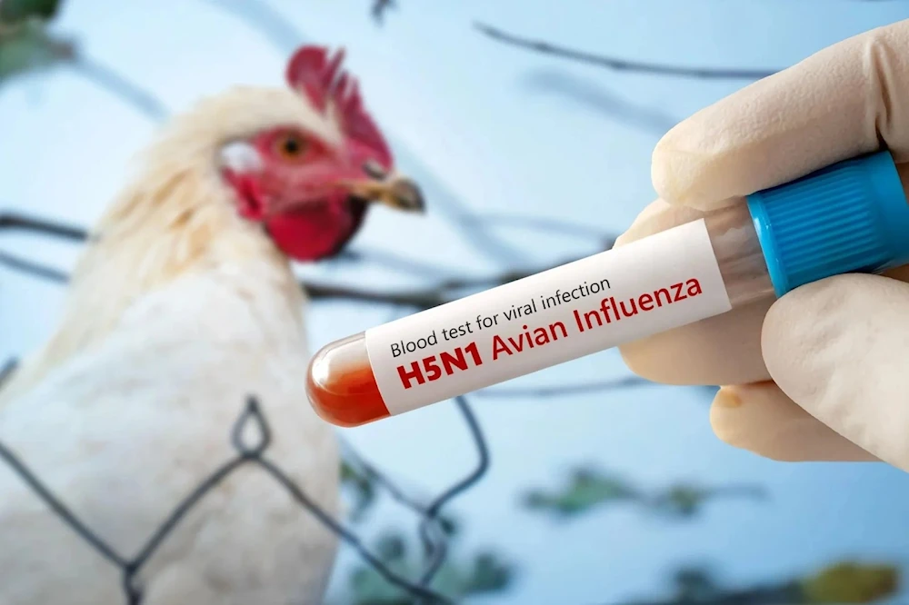 México registra su primer fallecimiento por gripe aviar A (H5N1)