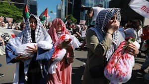 Bruselas en pie por Gaza: La protesta en imágenes