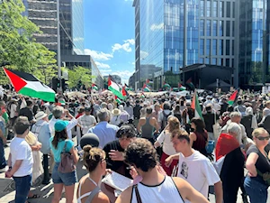 Bruselas en pie por Gaza: La protesta en imágenes