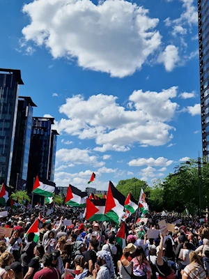 Bruselas en pie por Gaza: La protesta en imágenes