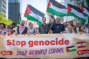 Bruselas en pie por Gaza: La protesta en imágenes